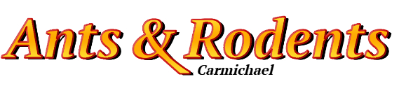 Carmichael Ant Exterminator & Rodent Control Company Logo